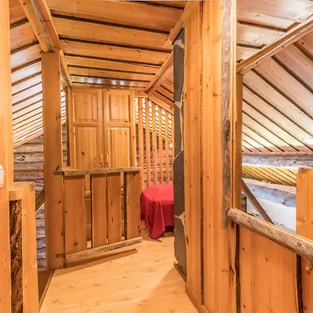 Vip Rakka 5 & 6 * Levi